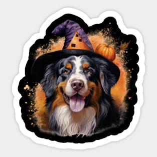 Halloween Bernese Mountain Dog Sticker